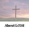 About LCOS